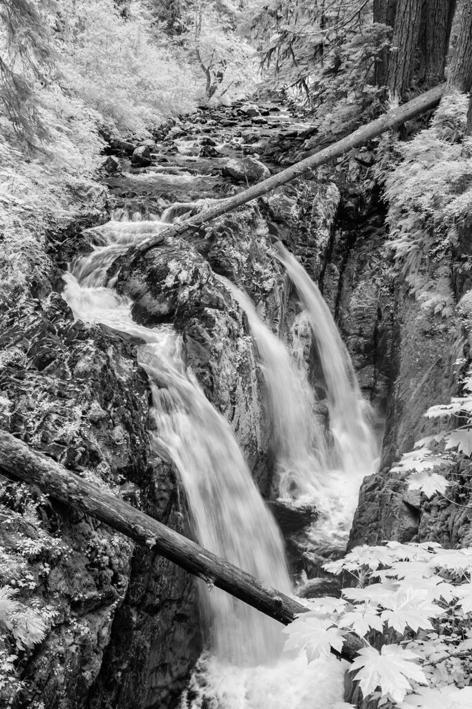 IMG 8930BW Sol Duc Falls Olympic National Park 1280x1920